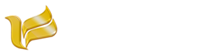 賽鴿發(fā)